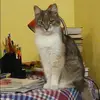 Отзыв от Вика Давыдова